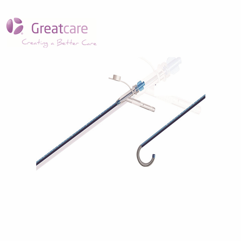 တစ်ခါသုံး Vaccum-Assisted Ureteral Access Sheath